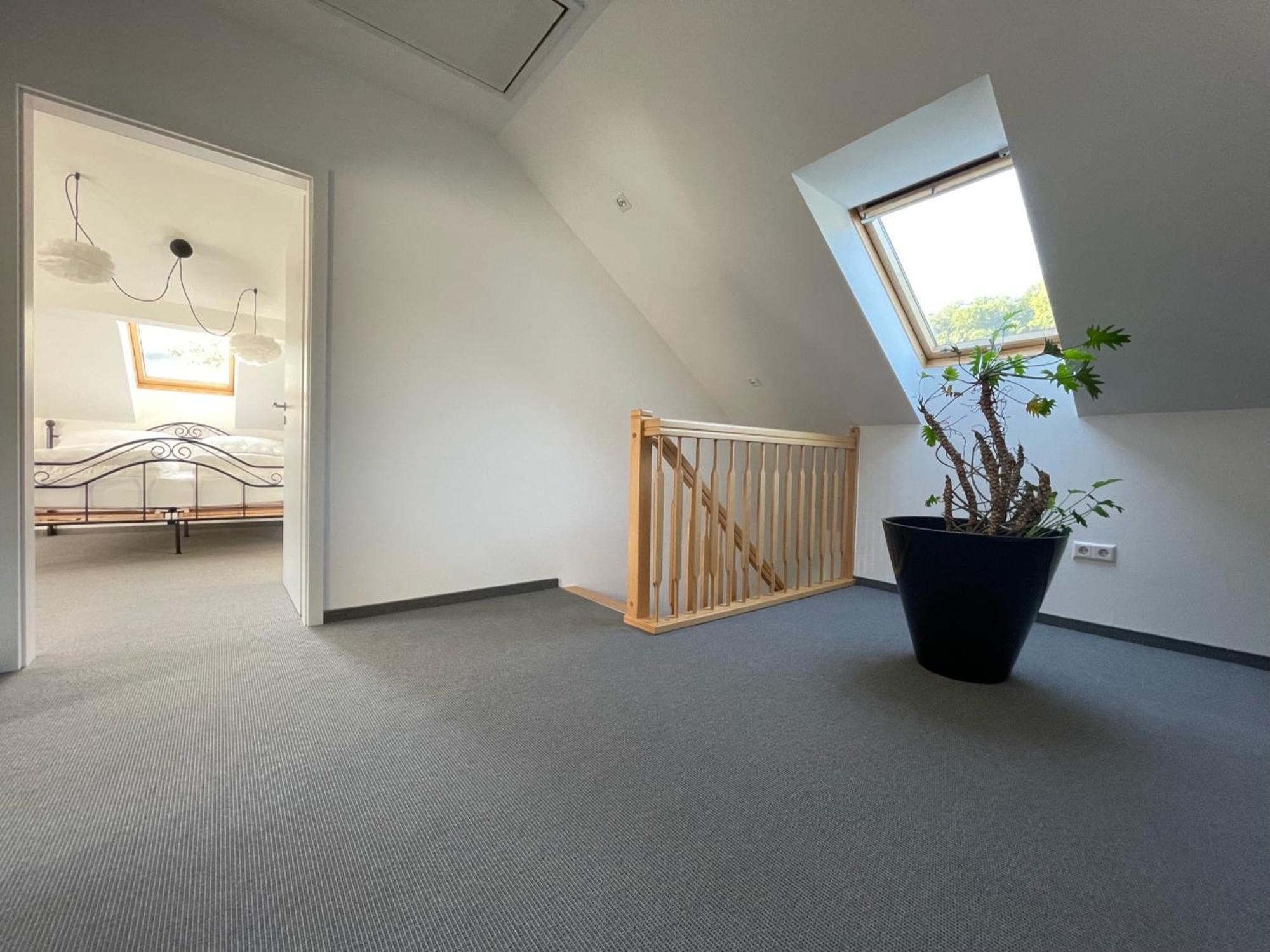 Stilvolle Wohnung Fuer 2-3 Personen - Mit Riesiger Dachterrasse Haigerloch Exterior photo